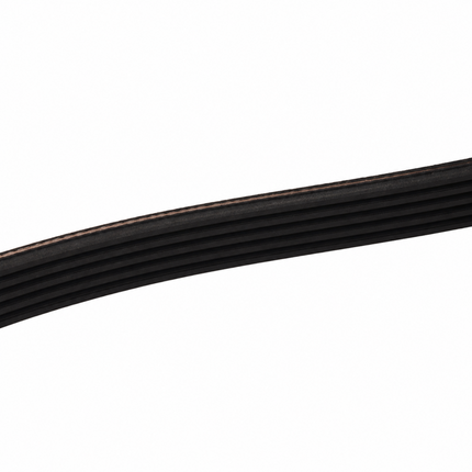 A close-up of a black multi-ribbed belt or strap against a plain white background.