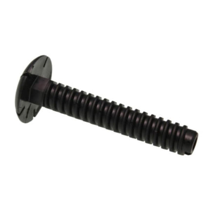 Black screw on a white background