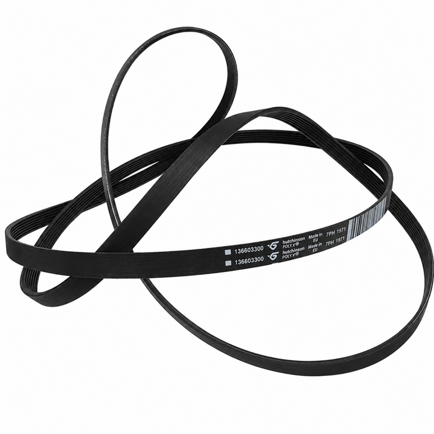 Black belt with text on a white background