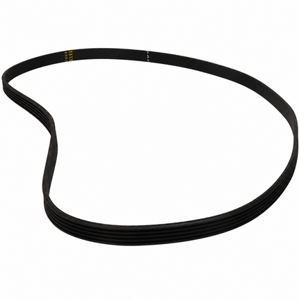 Black belt on a white background