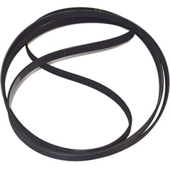 Black belt on a white background