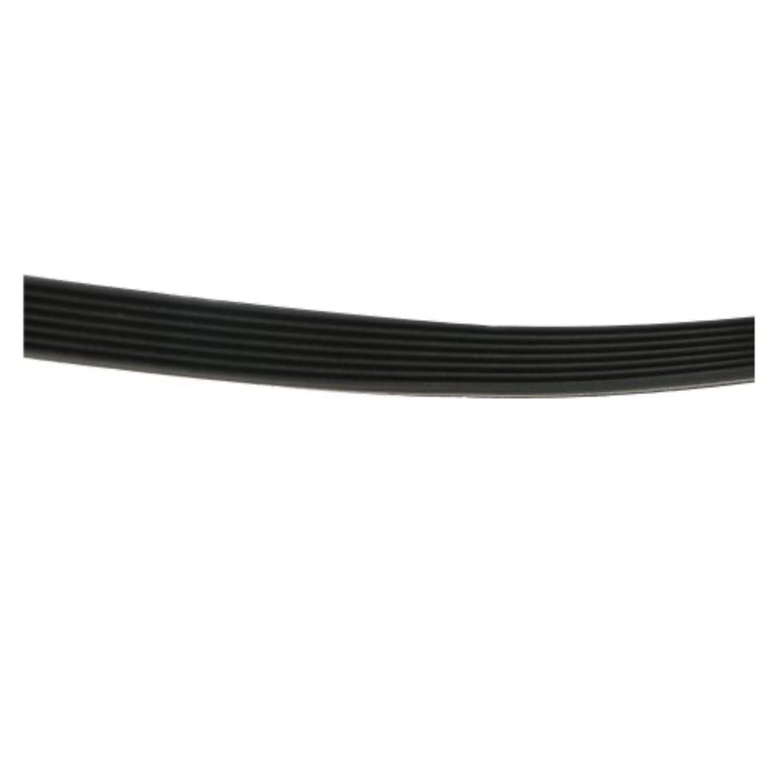 Black belt on a white background